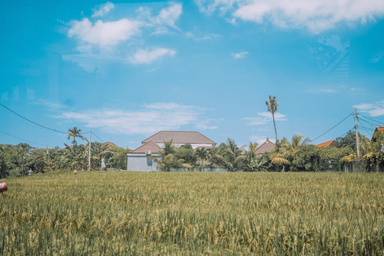 Gajah Villa By Betterplace Canggu Zewnętrze zdjęcie