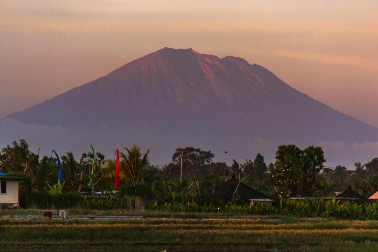 Gajah Villa By Betterplace Canggu Zewnętrze zdjęcie